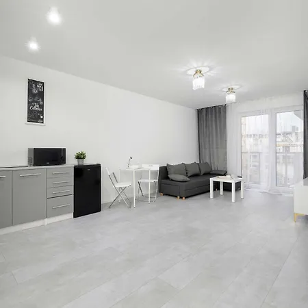 Eleganckie I Stylowe Z Balkonem W Sosnowcu By Renters