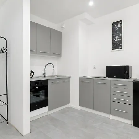 Eleganckie I Stylowe Z Balkonem W Sosnowcu By Renters Apartament *