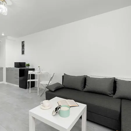 Apartament Eleganckie I Stylowe Z Balkonem W Sosnowcu By Renters *