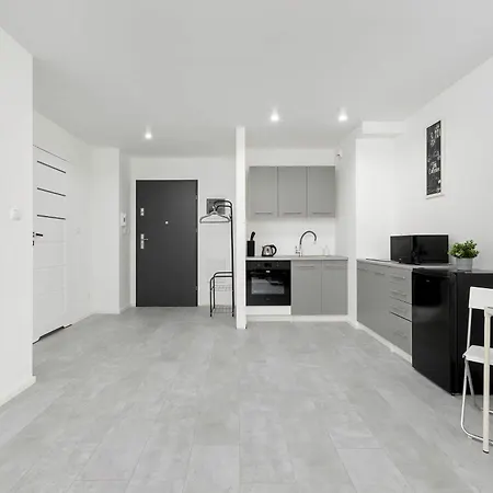 Apartament Eleganckie I Stylowe Z Balkonem W Sosnowcu By Renters Sosnowiec